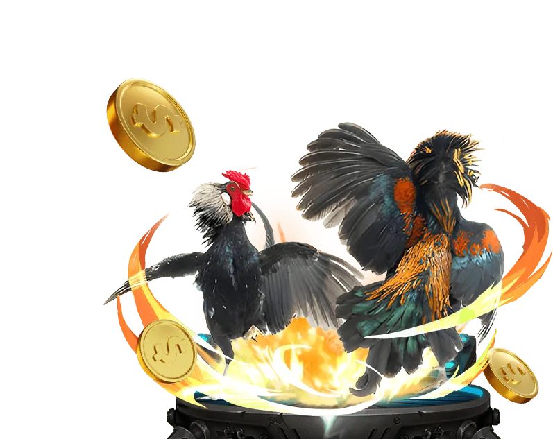 Trận đấu đá gà kịch tính tại 99vz Cổng Game